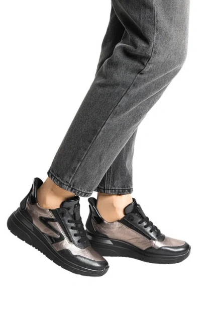 Ara Galicia Sneaker In Black