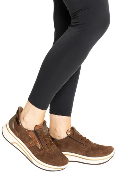 Ara Surrey Low Top Sneaker In Brown