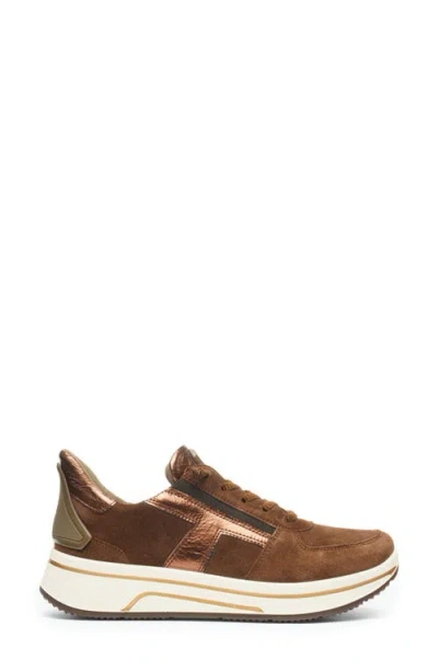 Ara Surrey Low Top Sneaker In Brown