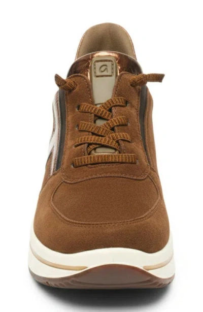 Ara Surrey Low Top Sneaker In Brown