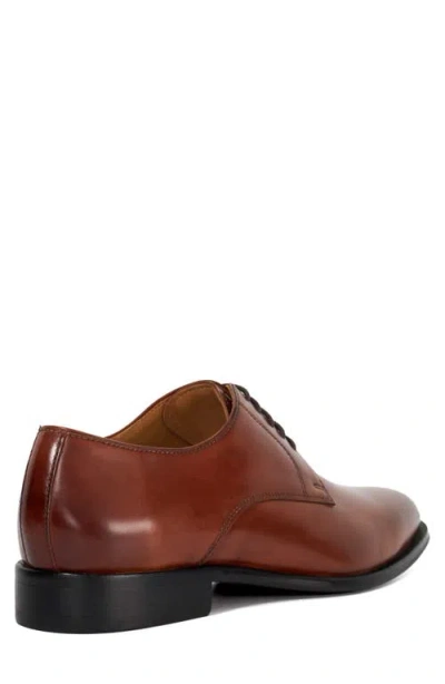 Dune London Salisbury Derby In Brown