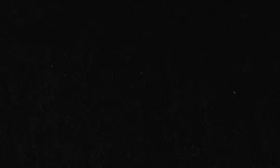 Mango Velvet Jacket With Fur Collar In Multi