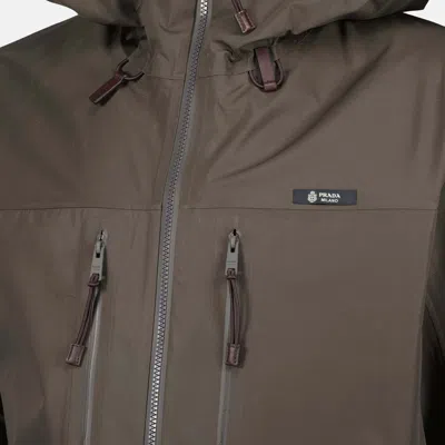 Prada Hooded Zip Jacket In Brown