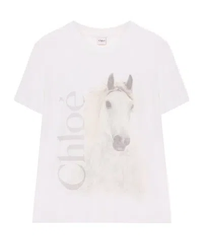 Chloé Cotton Crew Neck Graphic Short Sleeve T-shirt In White