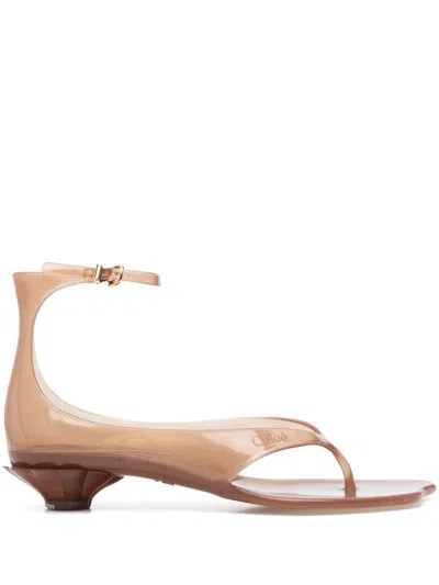 Chloé Jelly Brown Sandals With Logo Imprinted On The Side And Ankle Buckle Closure In Tpu Woman In Neutral