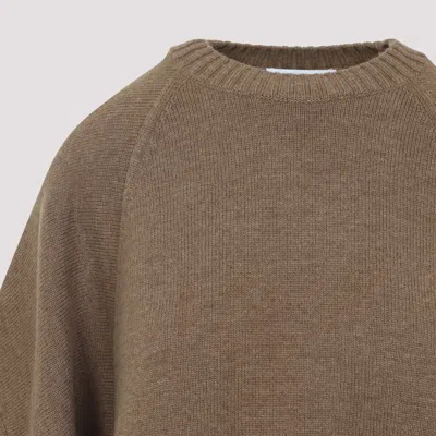 Max Mara Ampex Wool And Cashmere Over Sweater In Green