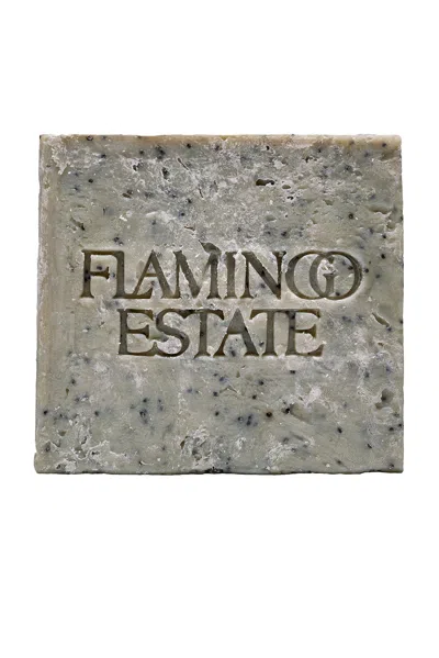 Flamingo Estate Exfoliating Peppermint Bar Soap In Gray