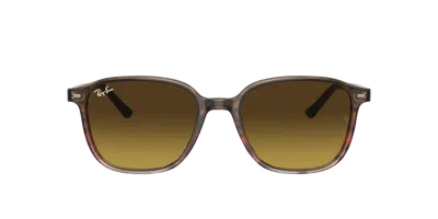 Ray Ban Ray In Brown