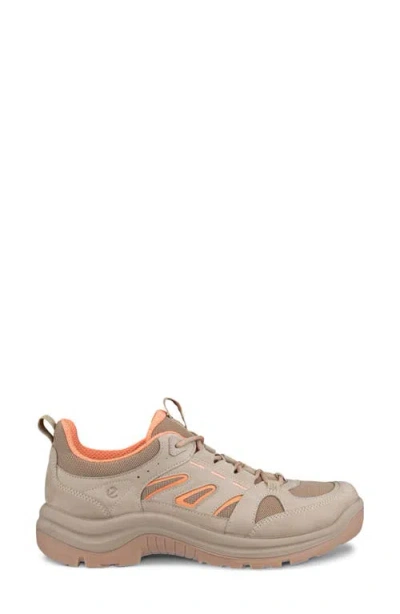 Ecco Offroad Hiking Sneaker