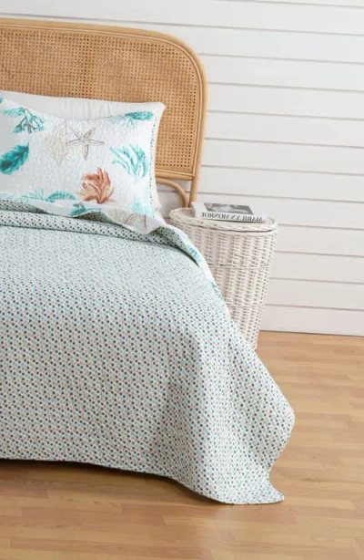 Woven & Weft Watercolor Coastal Quilt & Sham Set In Orange