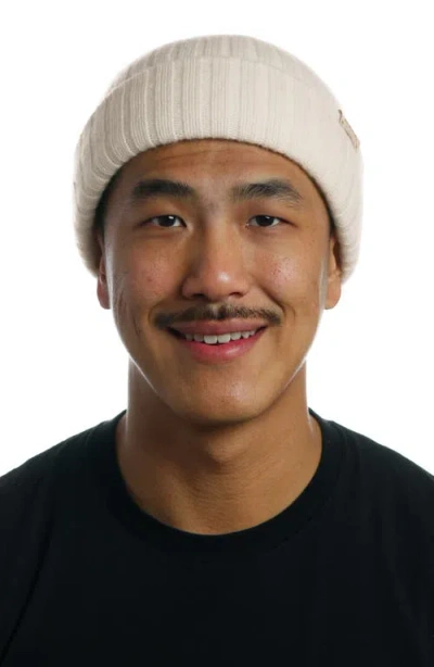 Melin All Day Beanie In Neutral