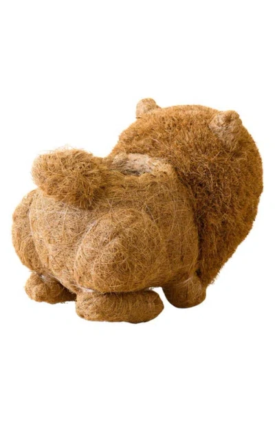 Likha Chow Chow Handwoven Planter In Brown