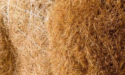 Likha Chow Chow Handwoven Planter In Brown