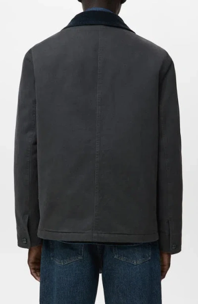Mango Cotton Corduroy Collar Jacket In Gray