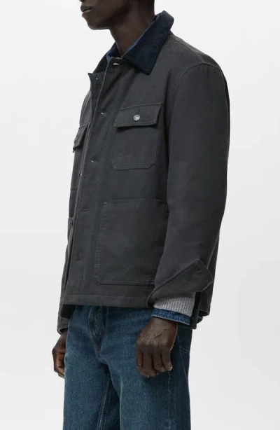Mango Cotton Corduroy Collar Jacket In Gray
