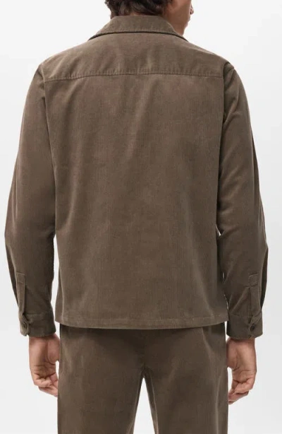 Mango Regular Fit Corduroy Overshirt In Brown