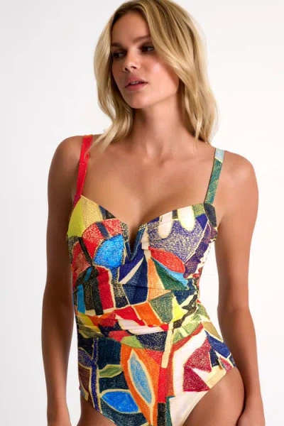 Shan Classic One-piece Swimsuit In Multi