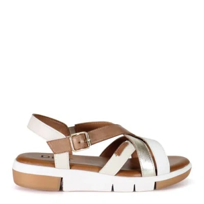 Diba True Dar Ling Leather Cushioned Gladiator Sandal In Multi