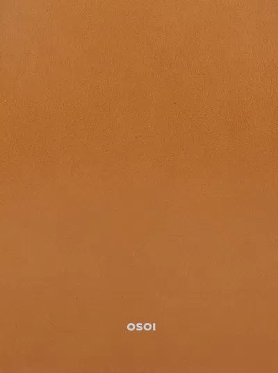 Osoi Top Handle Shoulder Bag In Brown