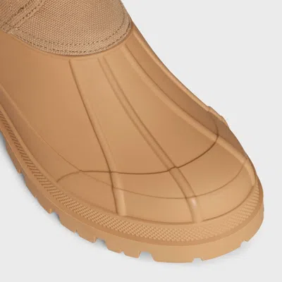 Celine Lace-up Boot W/ Triomphe 30 In Neutral