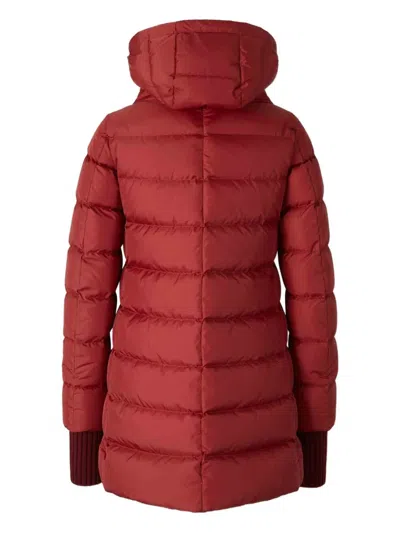 Herno Hooded Zip-up Padded Jacket In Burgundy