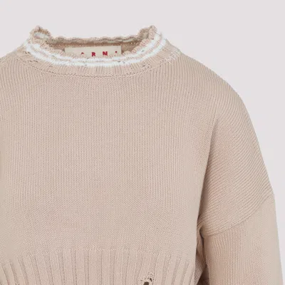 Marni Cropped Sweater In Neutral
