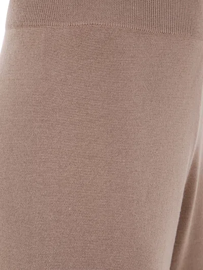 Max Mara Virgin Wool Pants In Brown