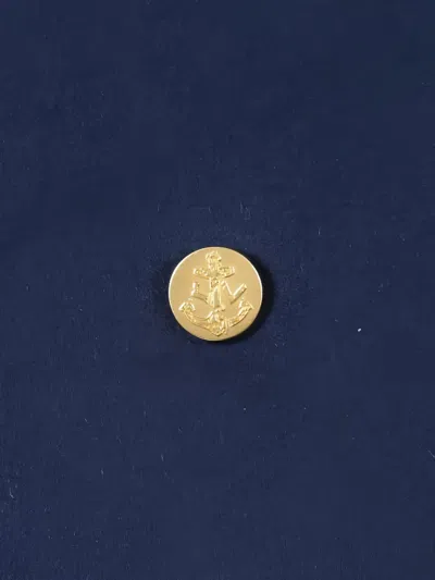 Pre-owned Louis Vuitton Anchor-button Coat In Blue