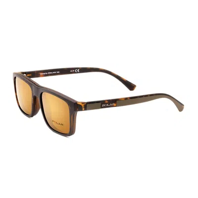Polar Eyeglass In Brown