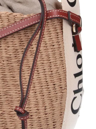Chloé Bags In Brown