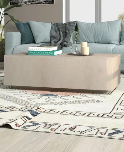 Hudson & Canal Paxton 48" Wide Rectangular Coffee Table In Brown