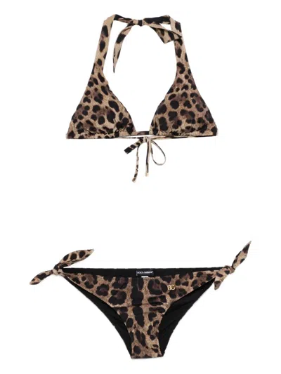 Dolce & Gabbana Leopard-print Tie Bikini In Brown