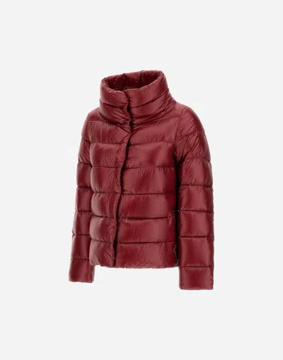 Herno Structured Bordeaux Polyamide Coat In Burgundy
