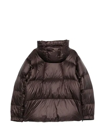 Goldwin Down Jacket In Brown