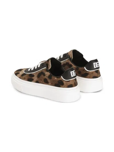 Dolce & Gabbana Leopard-print Logo Sneakers In Brown