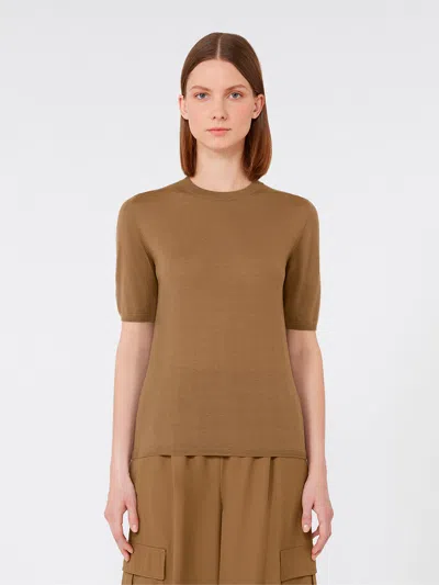Max Mara Short-sleeved Basic Wool Sweater In Brown
