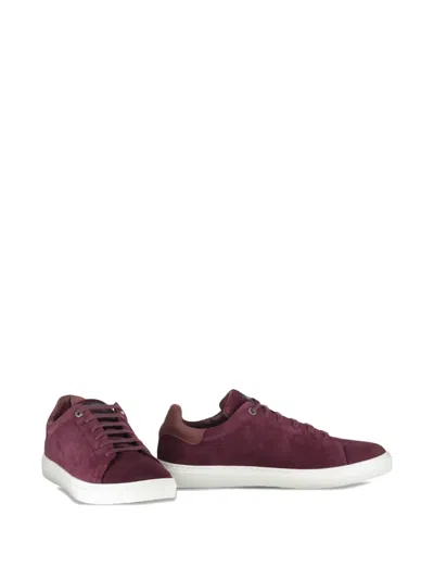 Paul & Shark Suede Low Sneakers In Purple