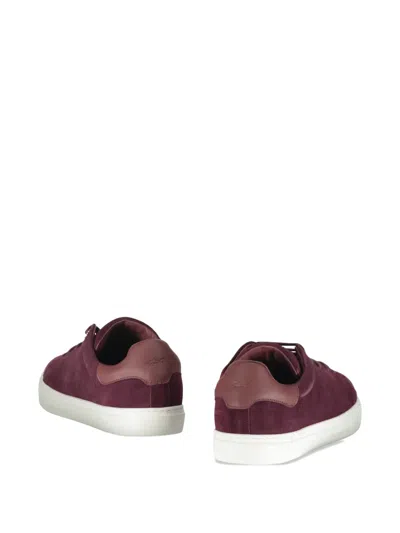 Paul & Shark Suede Low Sneakers In Purple