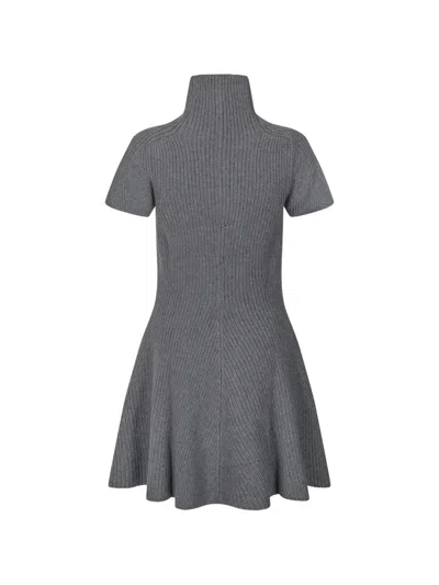 Magda Butrym Turtle-neck Ribbed Mini Dress In Gray