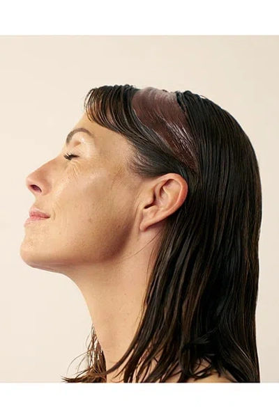 Christophe Robin Shade Variation Mask Warm Chestnut In White