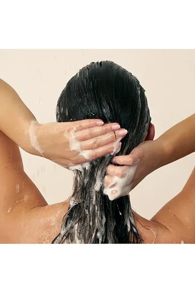 Christophe Robin Fortifying Shampoo With Amaranth Peptides In Transparent