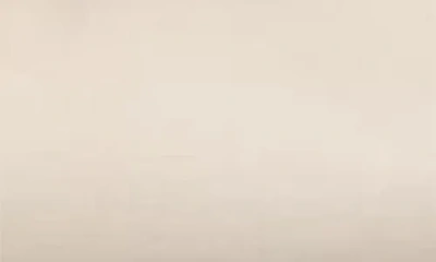 Ecco Margot Ballet Flat In White