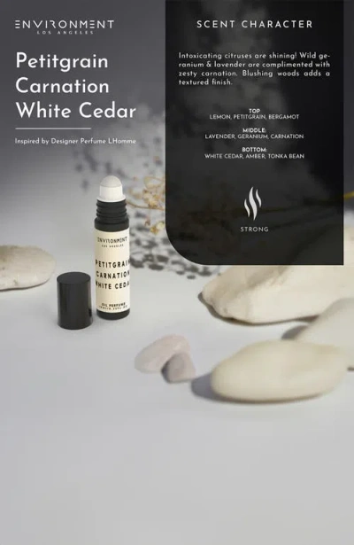 Environment Inspired By Designer Perfume Roll-on Oil Perfume In Multi