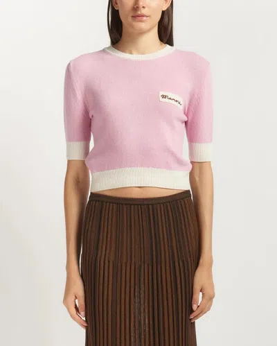 Marni Wool Blend Short Sleeve Crewneck Sweater In Pink