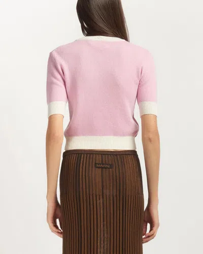Marni Wool Blend Short Sleeve Crewneck Sweater In Pink