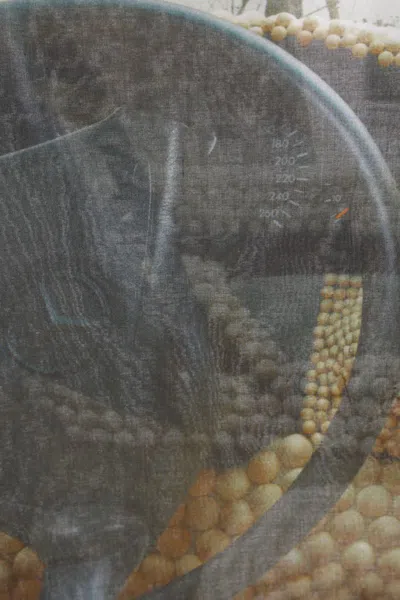 Bless T-shirts And Polos In Multi