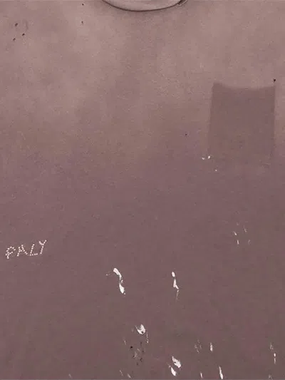 Paly Bead T-shirt In Brown