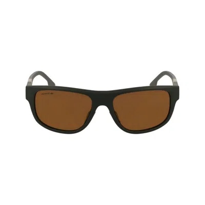 Lacoste L6042s 55mm Rectangular Sunglasses In Brown