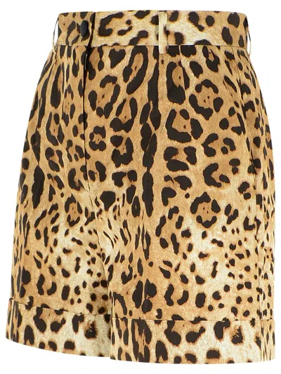 Dolce & Gabbana High Waist Leopard Stretch Drill Shorts In Brown