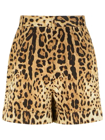 Dolce & Gabbana High Waist Leopard Stretch Drill Shorts In Brown